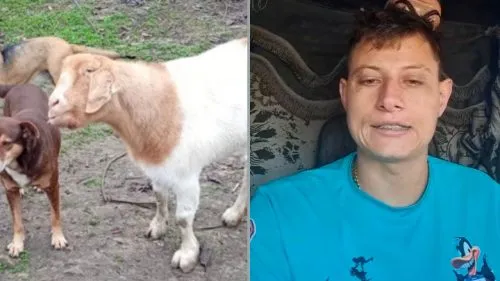 Cabra e dois cães desaparecidos em União da Vitória retornam para casa