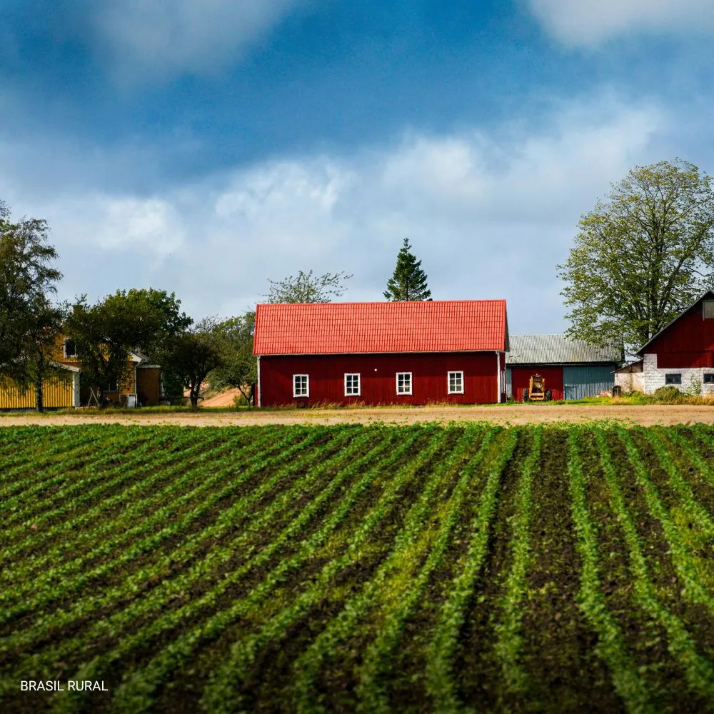Brasil Rural