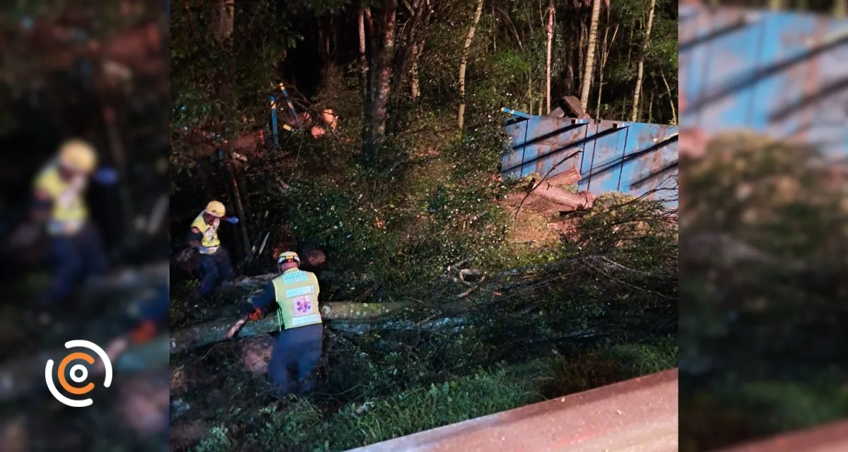 Motorista é resgatado após carreta carregada com toras sair da pista na BR-116, em Papanduva