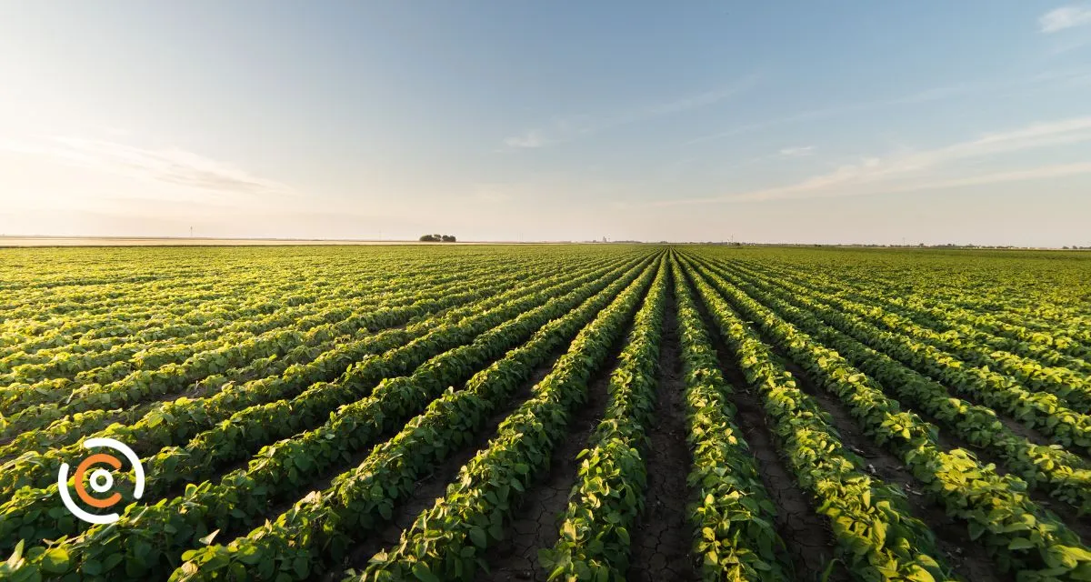 Projeto de Lei propõe validação automática do Cadastro Ambiental Rural para pequenas propriedades
