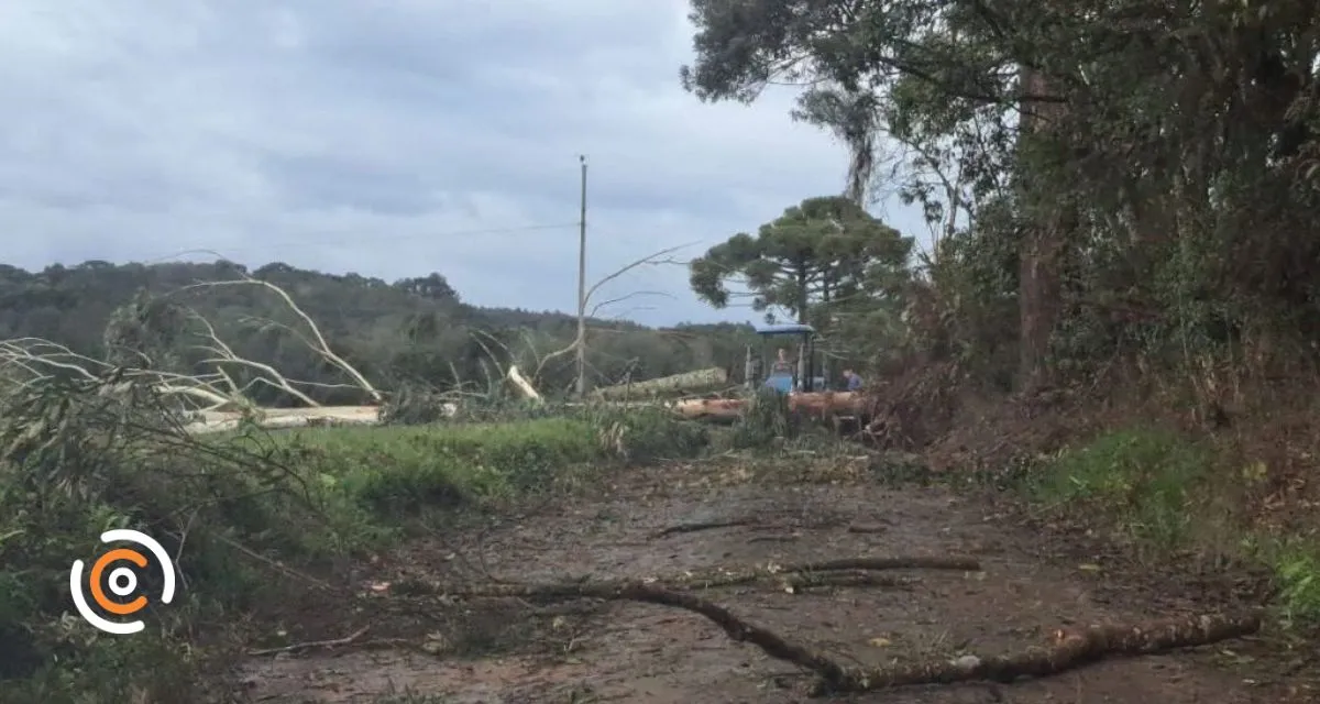 Forte temporal em Itaiópolis causa destelhamentos e bloqueia estradas no interior