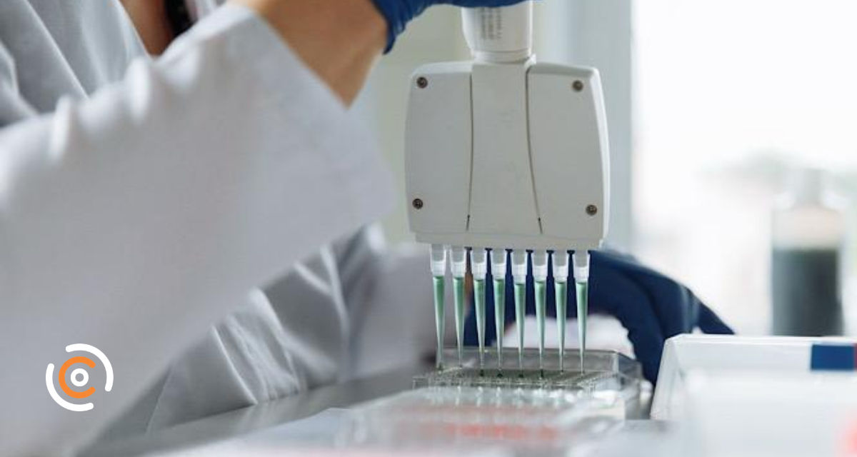 Após mais de 40 anos, Justiça reconhece paternidade de homem falecido após exame de DNA em SC