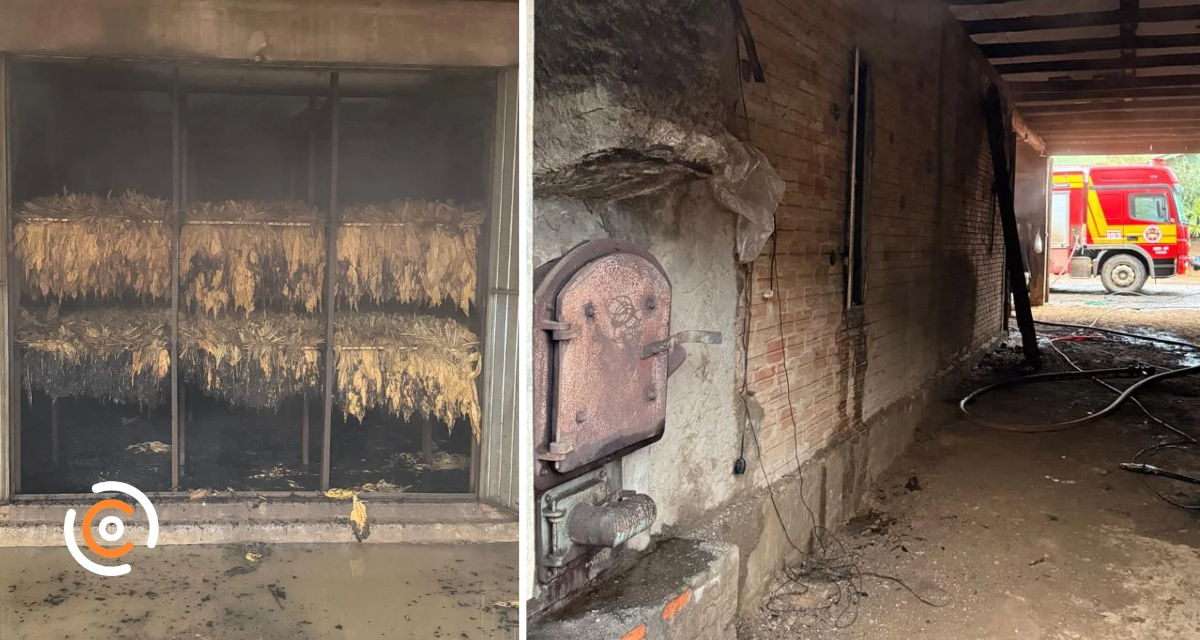 Incêndio em estufa de fumo causa prejuízo de R$ 25 mil em Santa Terezinha