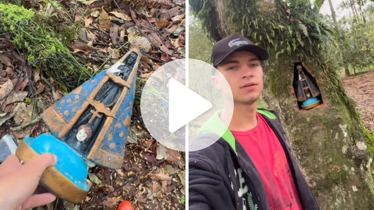 Jovem constrói altar para imagem de Nossa Senhora Aparecida encontrada em estrada de SC