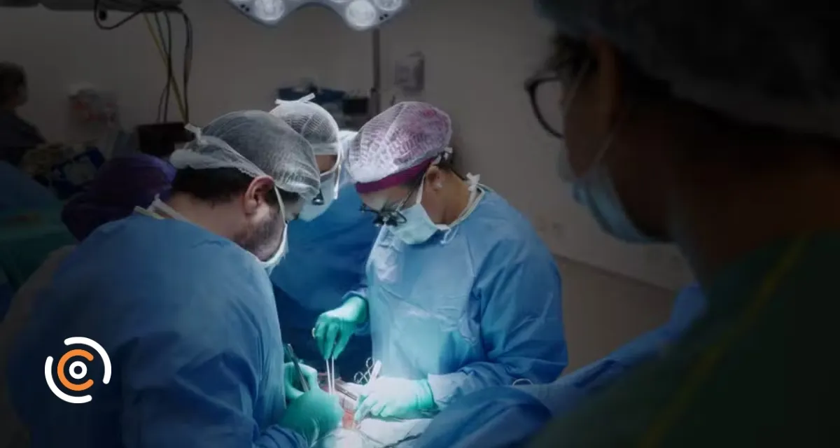 'Doe órgãos, doe esperança': Setembro Verde conscientiza sobre a doação que salva vidas