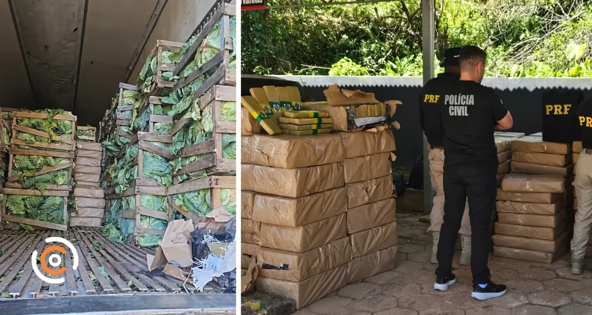 Quase 2,5 toneladas de maconha são apreendidas em carga de repolho na BR-280, em Rio Negrinho