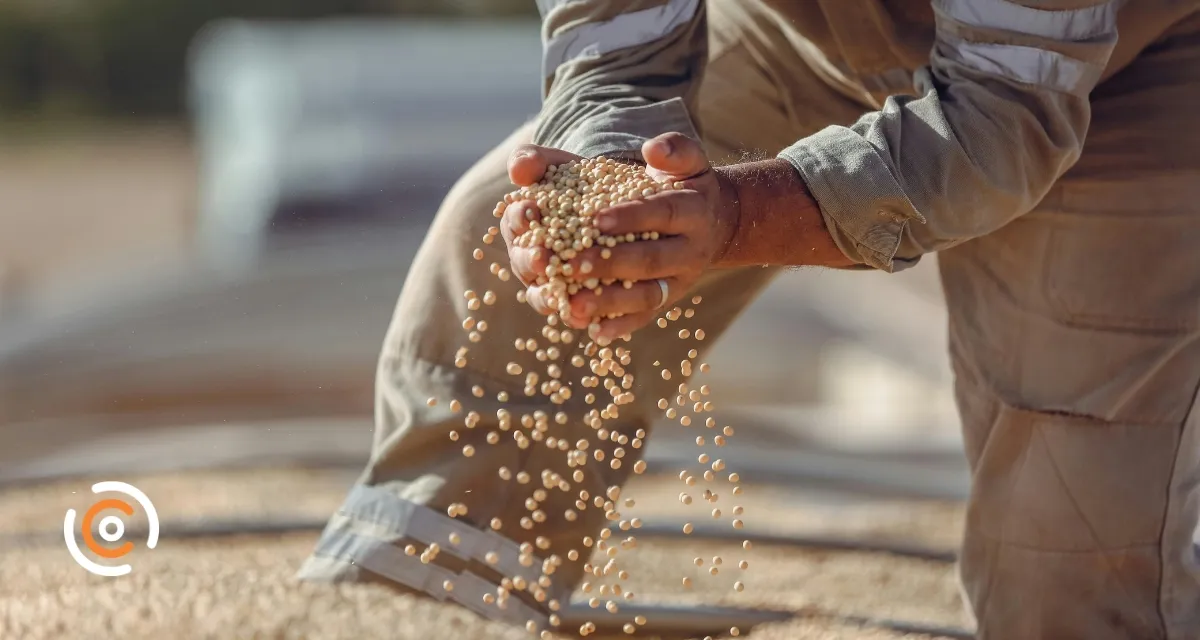 Produção agrícola brasileira movimenta R$ 927 bilhões em 2025, aponta IBGE