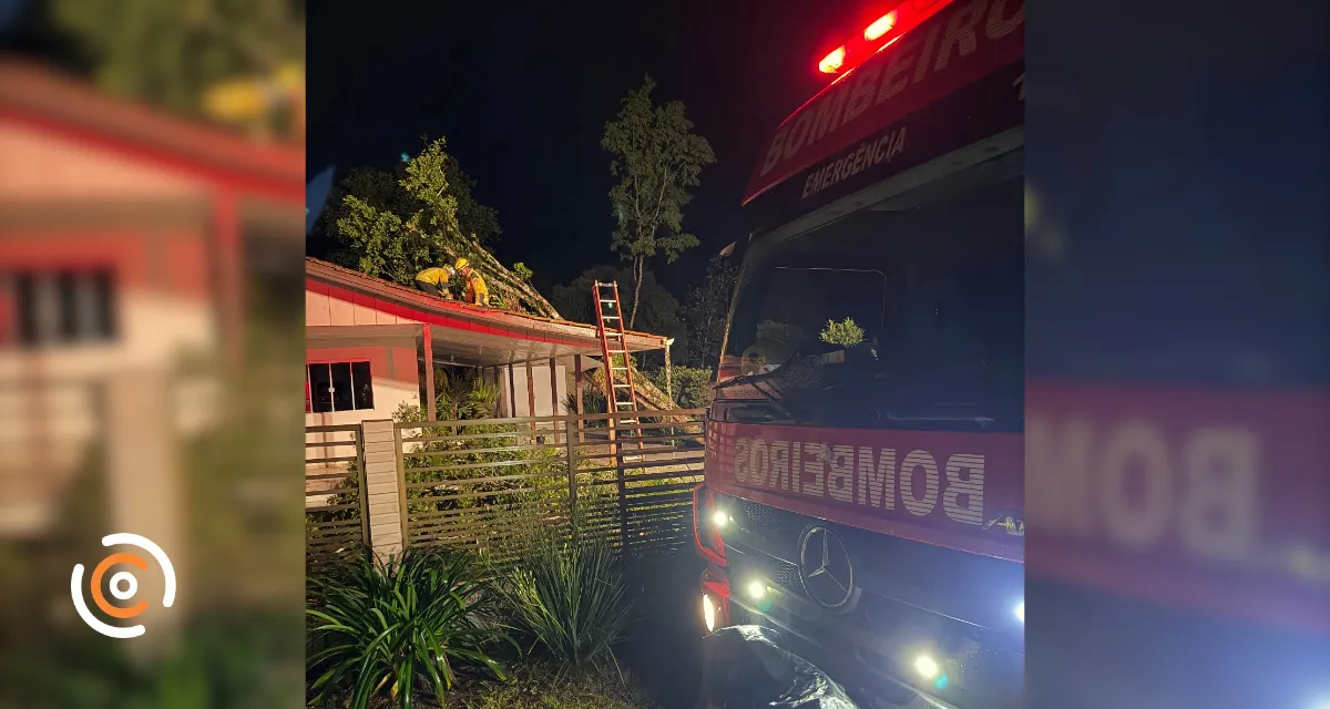 Árvore de grande porte cai sobre casa durante rajadas de vento em Papanduva
