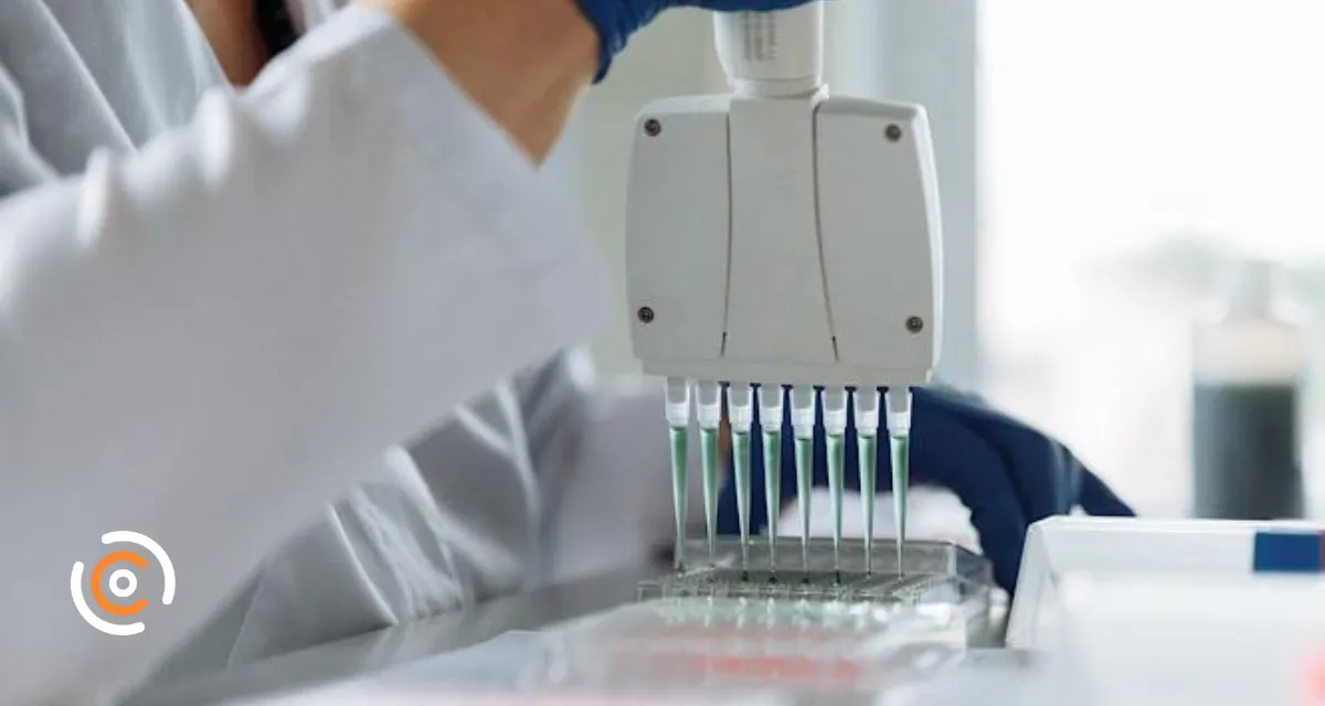 Após mais de 40 anos, Justiça reconhece paternidade de homem falecido após exame de DNA em SC