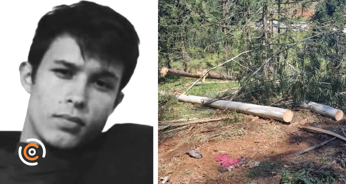 Jovem de 18 anos morre após ser atingido por árvore em Matos Costa
