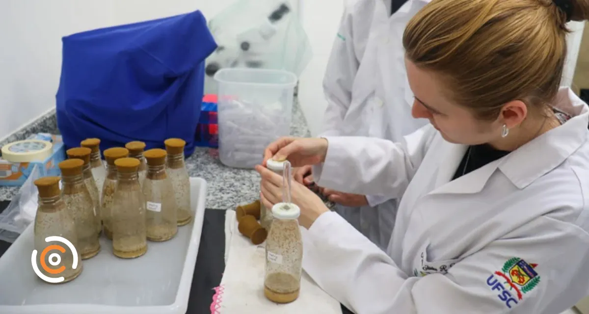 UFSC tem 52 pesquisadores entre os cientistas mais influentes do mundo, aponta levantamento internacional
